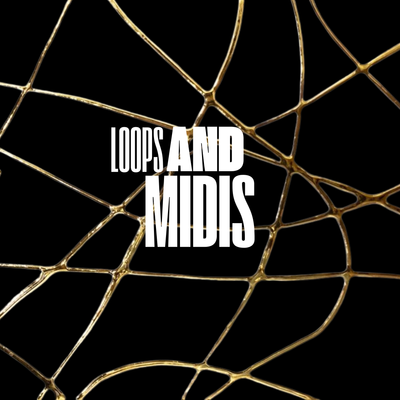 Loops y MIDIs